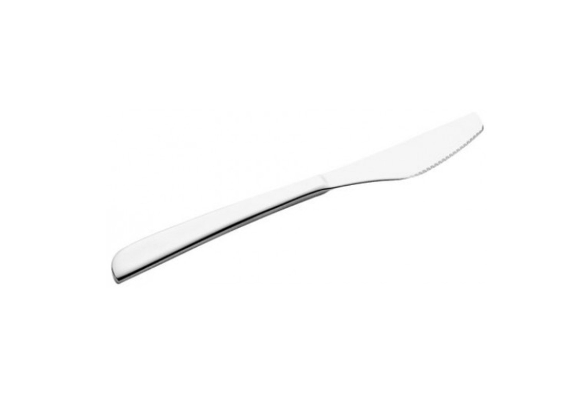 Stainless Steel Pizza Knife (set of 10)